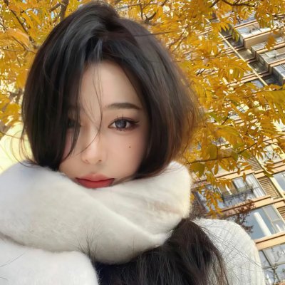 了不起的麦瑟尔夫人第五季